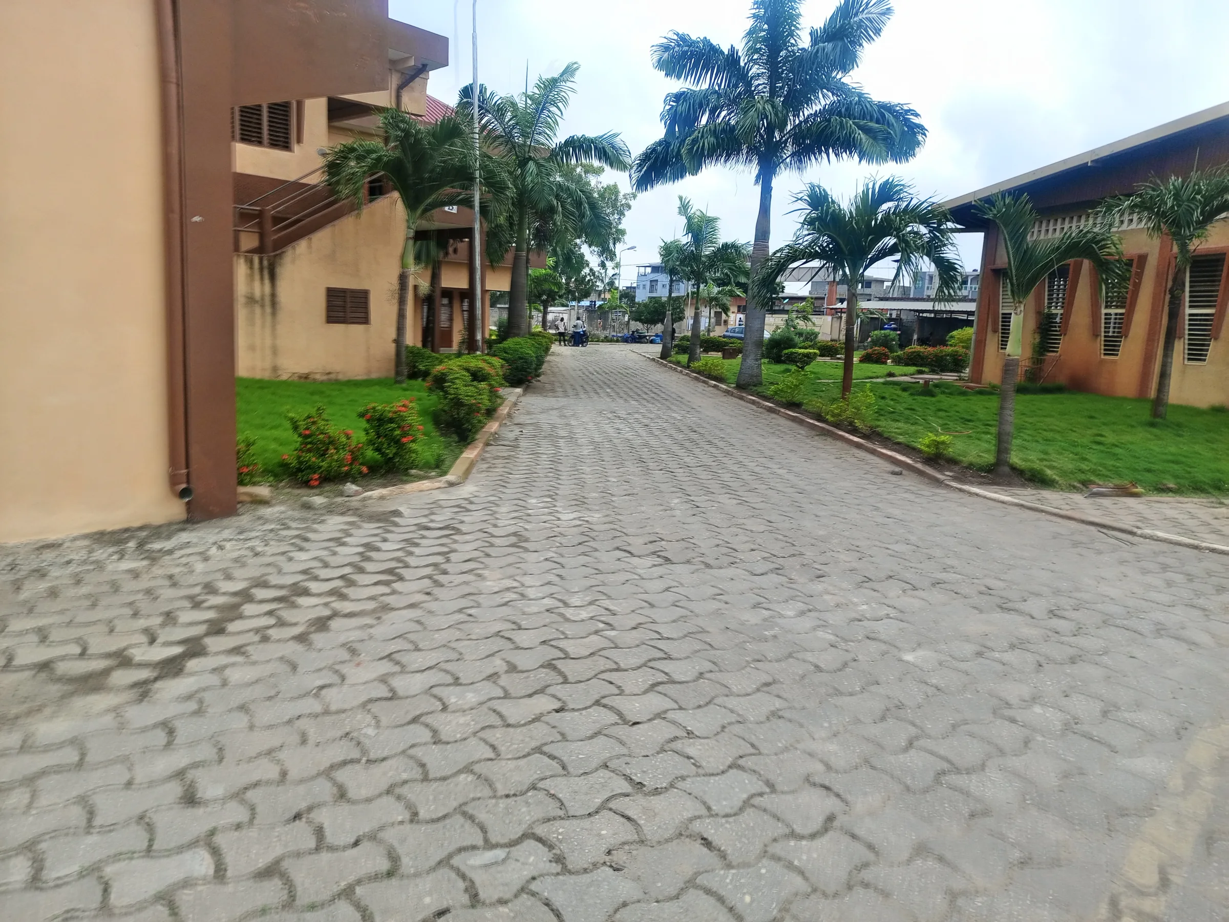 Photo 3 de Lycée Technique Et Professionnel De Kpondehou