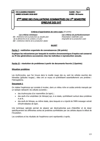 Première page de SVT Tle C — 2e évaluation sommative (2018-2019) · CEG Albarika