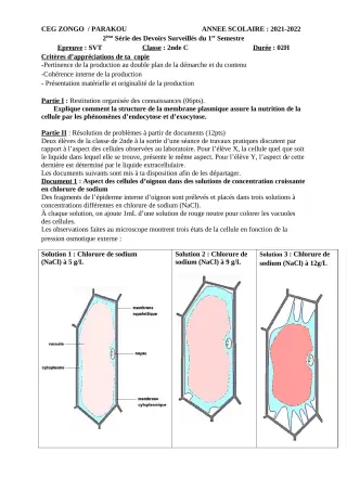 Première page de SVT 2nde C — 2e devoir surveillé, 1er semestre (2021-2022) · CEG ZONGO