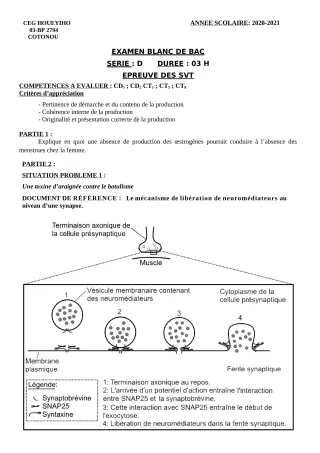 Première page de Examen Blanc de SVT — Tle D — CEG HOUEYIHO (2020)