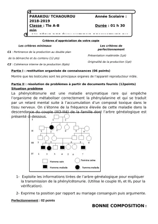Première page de SVT Tle A1, Tle A2, Tle B — 1re évaluation sommative (2018-2019) · CEG Albarika