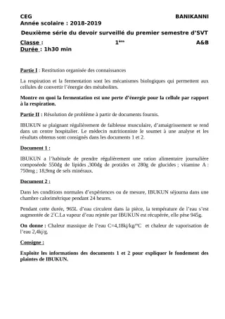 Première page de SVT 1ère A2, 1ère B — 2e devoir surveillé, 1er semestre (2018-2019) · CEG Banikanni