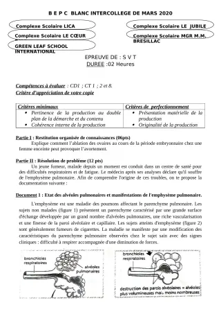 Première page de Examen Blanc de PCT — 3e — CPEG LICA (2019)