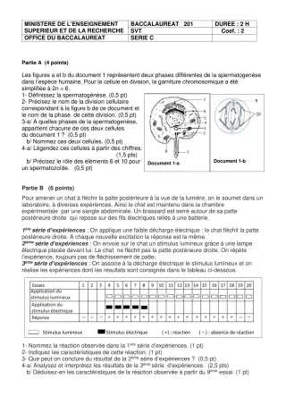 Première page de Prepa sujet BAC 2024 SVT série d