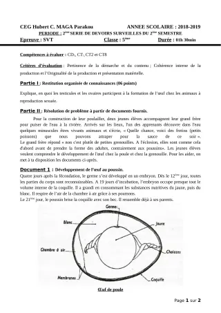 Première page de SVT 5e — Devoir surveillé, 2e semestre (2018-2019) · CEG Hubert C. MAGA