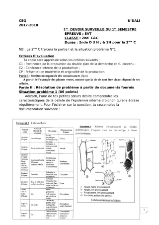 Première page de SVT 2nde C, 2nde D — 1er devoir surveillé, 1er semestre (2018-2019) · CEG 1 N'Dali