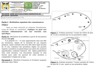 Première page de SVT 3e, 3e ML — 2e évaluation sommative, 2e semestre (2019-2020) · CEG GBESSOU