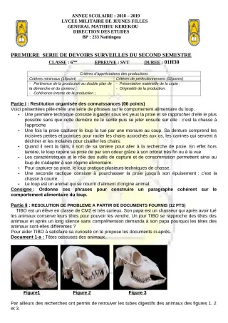 Première page de SVT 6e, Tle D — 1er devoir surveillé, 2e semestre (2018-2019) · LMJFGMK