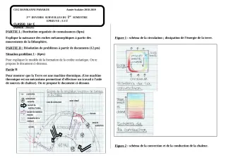Première page de SVT 1ère C — 2e devoir surveillé, 1er semestre (2018-2019) · CEG Banikanni
