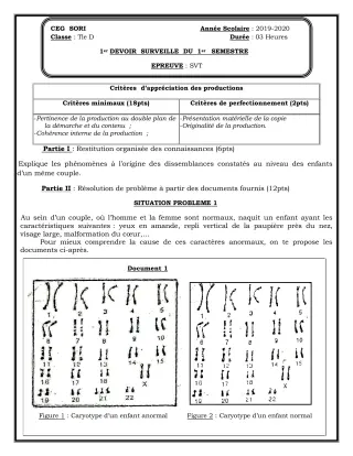 Première page de SVT Tle D — 1er devoir surveillé, 1er semestre (2019-2020) · CEG SORI
