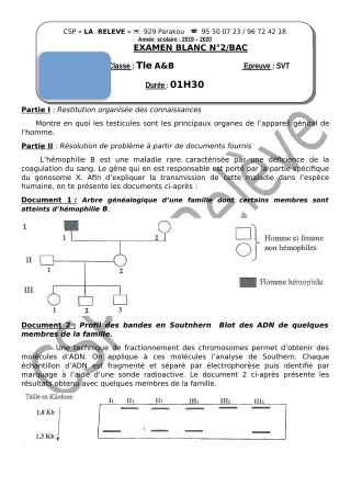 Première page de Examen Blanc de SVT — Tle A2 — CPEG La Releve (2019)