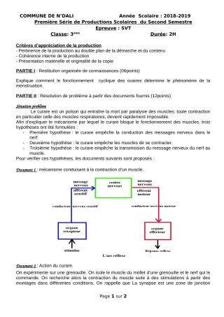 Première page de SVT 3e, 3e ML — 1re production scolaire, 2e semestre (2018-2019) · CEG 2 N'DALI