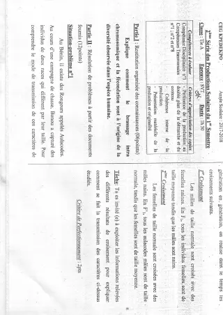 Première page de SVT Tle A1, Tle A2 — 2e production scolaire, 1er semestre (2017-2018) · CEG KPEDEKPO