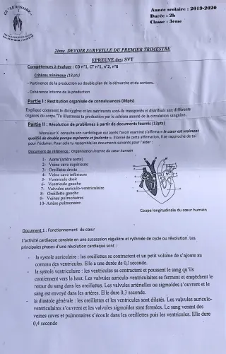 Première page de SVT 3e, 3e ML — 2e devoir surveillé, 1er trimestre (2019-2020) · CPEG ROSAIRE