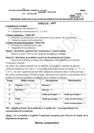 Première page de SVT 2nde A & B, 1ère C, 1ère D — 1re évaluation sommative, 2e semestre (2019-2020) · CEG1 Allada