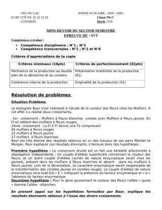Première page de SVT Tle C — Devoir surveillé, 2e semestre (2019-2020) · CEG du Lac