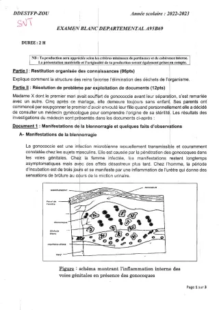 Première page de Examen Blanc de SVT — 3e — CEG1 Abomey (2022)