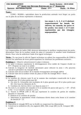Première page de Mathématiques 5e — Devoir surveillé, 1er semestre (2019-2020) · CEG MAREGOUROU