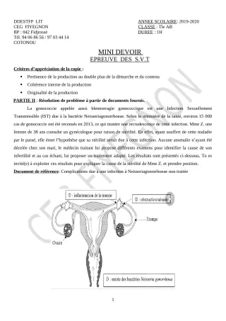 Première page de Mathématiques Tle A1, Tle A2, Tle B — 1er devoir surveillé (2019-2020) · CEG FIYEGNON