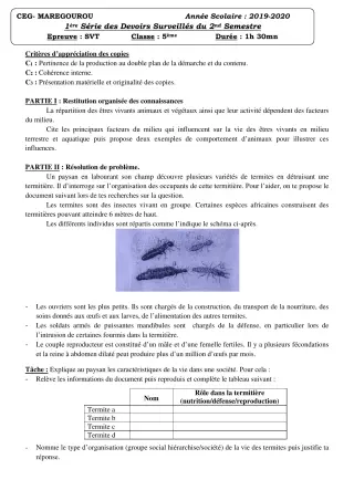 Première page de SVT 5e — 1er devoir surveillé, 2e semestre (2019-2020) · CEG MAREGOUROU