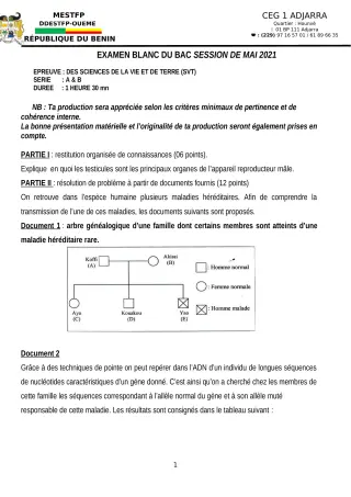 Première page de Examen Blanc de PHILO — Tle A & B, Tle A1, Tle A2, Tle B — CEG1 Adjarra (2020)
