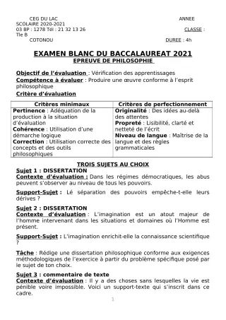 Première page de Examen Blanc de PHILO — Tle B — CEG du Lac (2020)