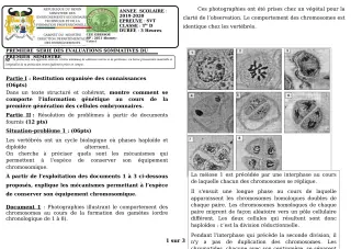 Première page de SVT Tle D — 1re évaluation sommative, 1er semestre (2019-2020) · CEG GBESSOU