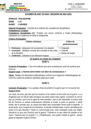 Première page de Examen Blanc de PHILO — Tle C, Tle D — CEG1 Adjarra (2020)