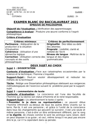 Première page de Examen Blanc de PHILO — Tle C, Tle D — CEG du Lac (2020)