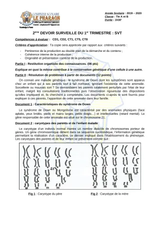 Première page de SVT Tle B — 2e devoir surveillé, 1er trimestre (2019-2020) · CPEG LE PHARAON