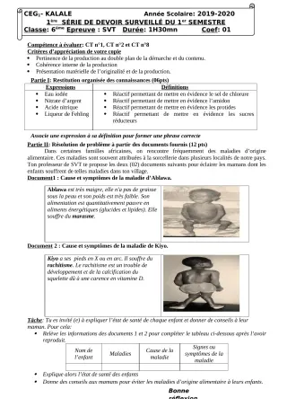 Première page de SVT 6e — 1er devoir surveillé, 1er semestre (2019-2020) · CEG1 Kalalé