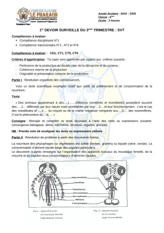 Première page de SVT 6e — 1er devoir surveillé, 3e trimestre (2019-2020) · CPEG LE PHARAON