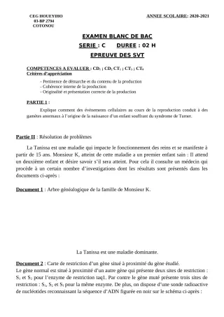 Première page de Examen Blanc de SVT — Tle C — CEG HOUEYIHO (2020)