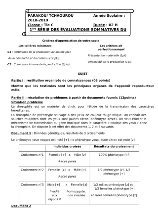 Première page de SVT Tle C — Évaluation sommative, 2e semestre (2018-2019) · CEG Albarika