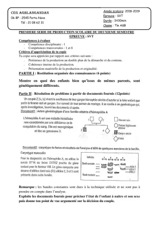 Première page de SVT Tle A1, Tle A2, Tle B — 1re production scolaire, 2e semestre (2018-2019) · CEG AGBLANGANDAN