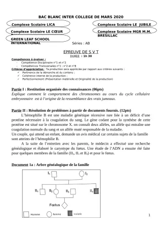 Première page de Examen Blanc de SVT — Tle A2, Tle B — CPEG LICA (2019)