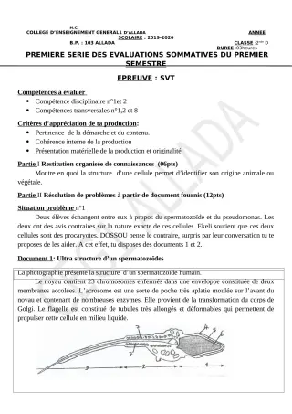 Première page de SVT Tle A & B — 1re évaluation sommative, 1er semestre (2019-2020) · CEG1 Allada