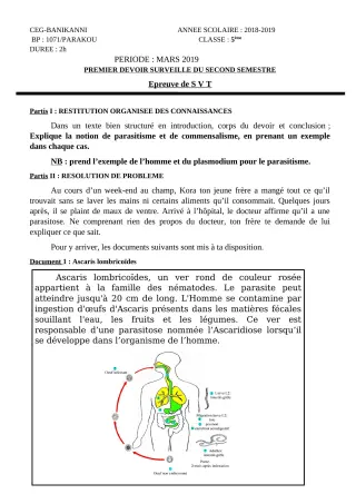 Première page de SVT 5e — 1er devoir surveillé, 2e semestre (2018-2019) · CEG Banikanni
