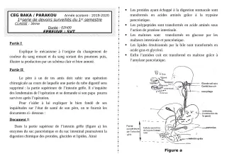 Première page de SVT 3e — 1er devoir surveillé, 1er semestre (2019-2020) · CEG BAKA