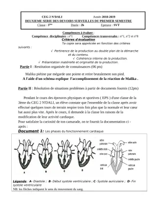 Première page de SVT 3e, 3e ML — 2e devoir surveillé, 1er semestre (2018-2019) · CEG 2 N'DALI