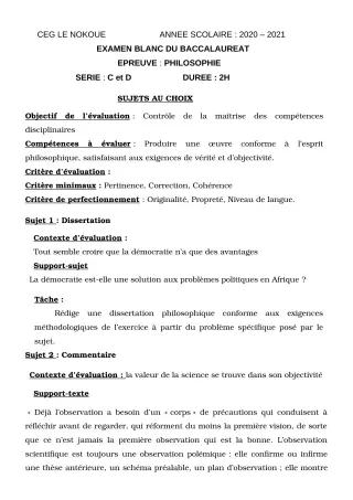 Première page de Examen Blanc de PHILO — Tle C, Tle D — CEG LE NOKOUE (2020)