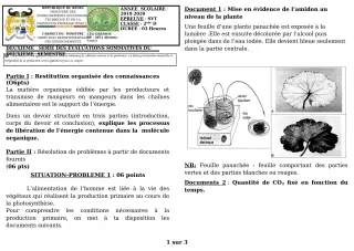 Première page de SVT 2nde D — 2e évaluation sommative, 2e semestre (2019-2020) · CEG GBESSOU