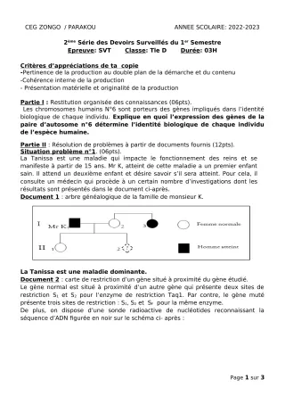 Première page de SVT Tle D — 2e devoir surveillé, 1er semestre (2022-2023) · CEG ZONGO