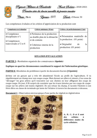 Première page de SVT Tle C — 1er devoir surveillé, 1er semestre (2020-2021) · PMB