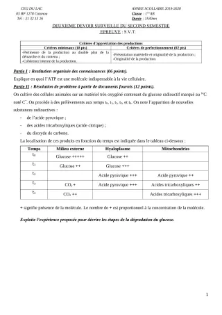 Première page de SVT 1ère B — 2e devoir surveillé, 2e semestre (2019-2020) · CEG du Lac