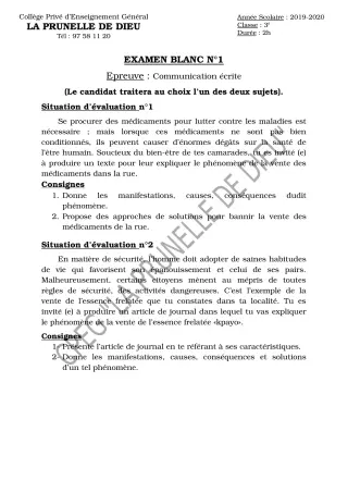 Première page de Examen Blanc de FRANCAIS — 3e, 3e ML — CEPG La Prunelle de Dieu (2019)