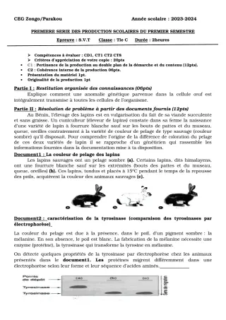 Première page de SVT Tle C — 1re production scolaire, 1er semestre (2023-2024) · CEG ZONGO