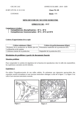 Première page de SVT Tle B — Devoir surveillé, 2e semestre (2019-2020) · CEG du Lac