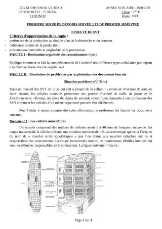 Première page de SVT 2nde D — Devoir surveillé, 1er semestre (2020-2021) · CEG Kouhounou-Vêdoko