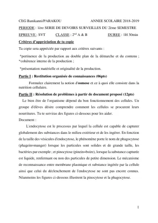 Première page de SVT 2nde A2, 2nde B — 1er devoir surveillé, 2e semestre (2018-2019) · CEG Banikanni